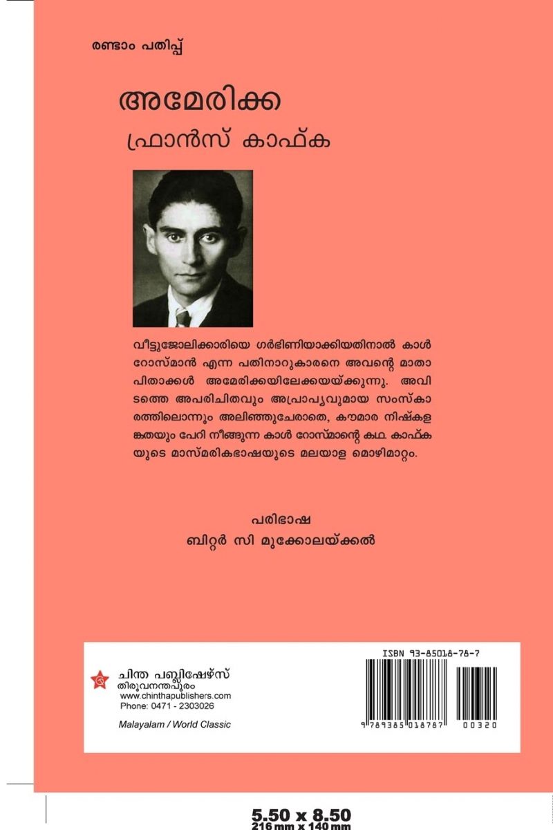 അമേരിക്ക by Francis Kafka - Image 2