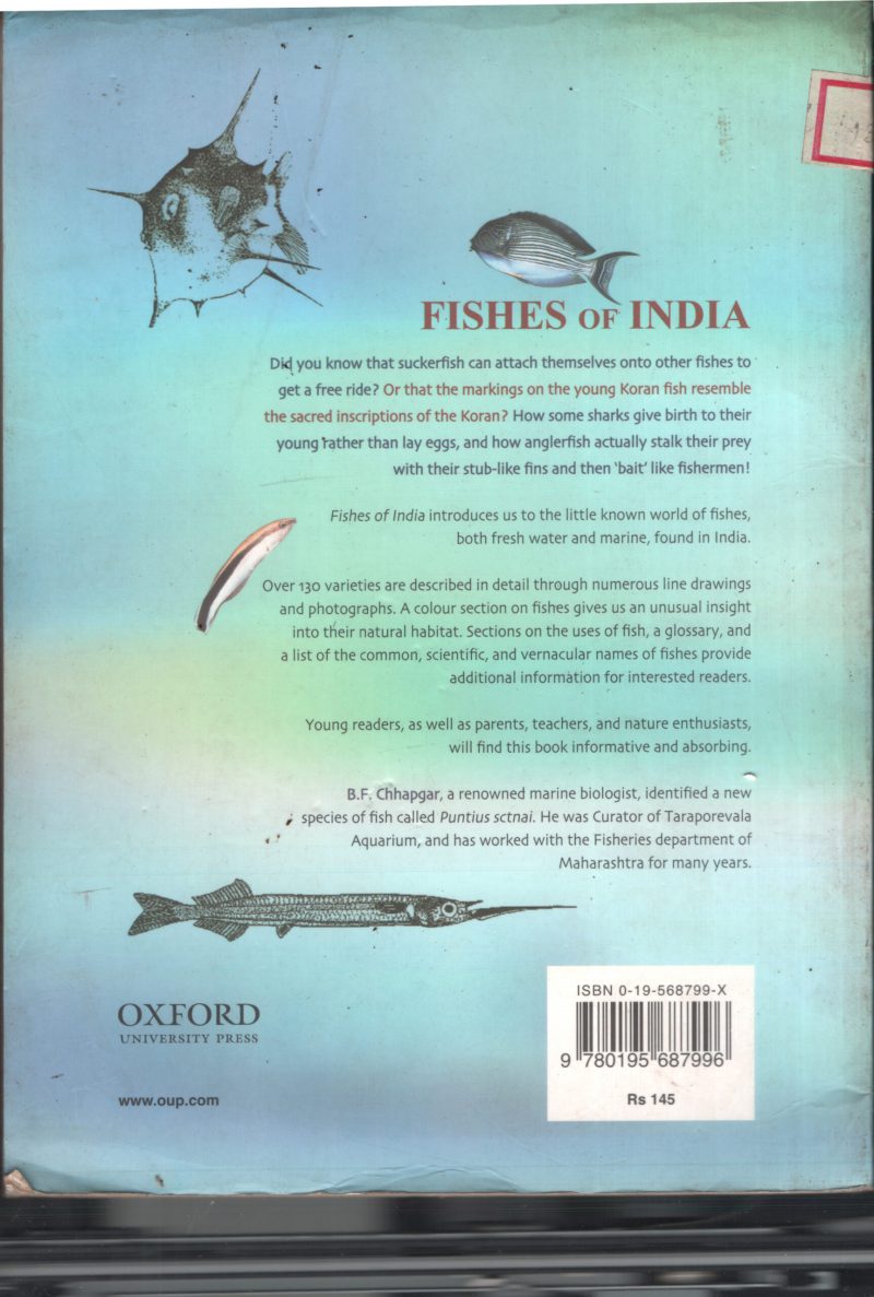 Fishes Of India BY B F Chappagar - Image 2
