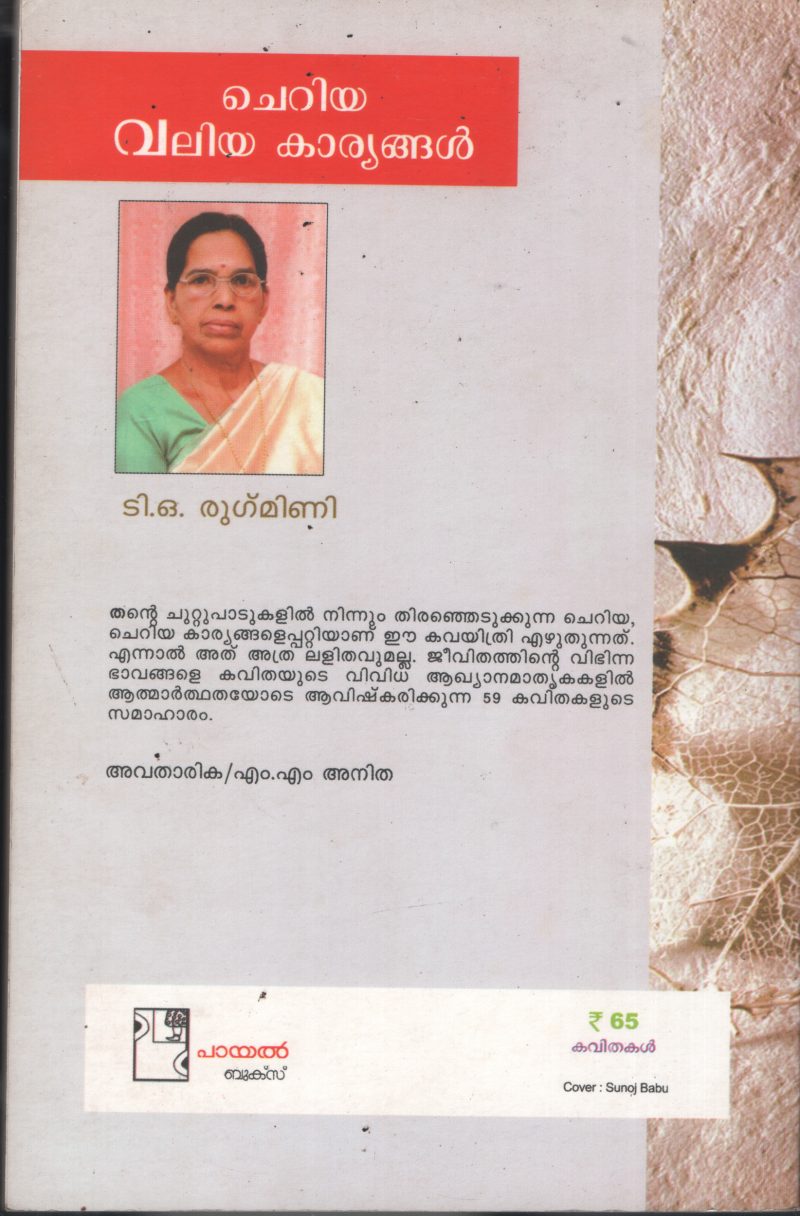 Cheriya Valiya Kariyangal BY T O Rukmini - Image 2