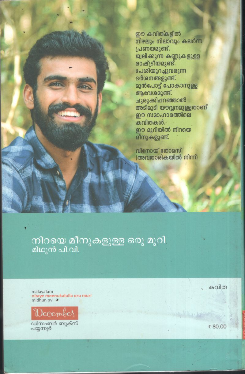 Niraye Meenukalulla Oru Muri BY Midhun P V - Image 2