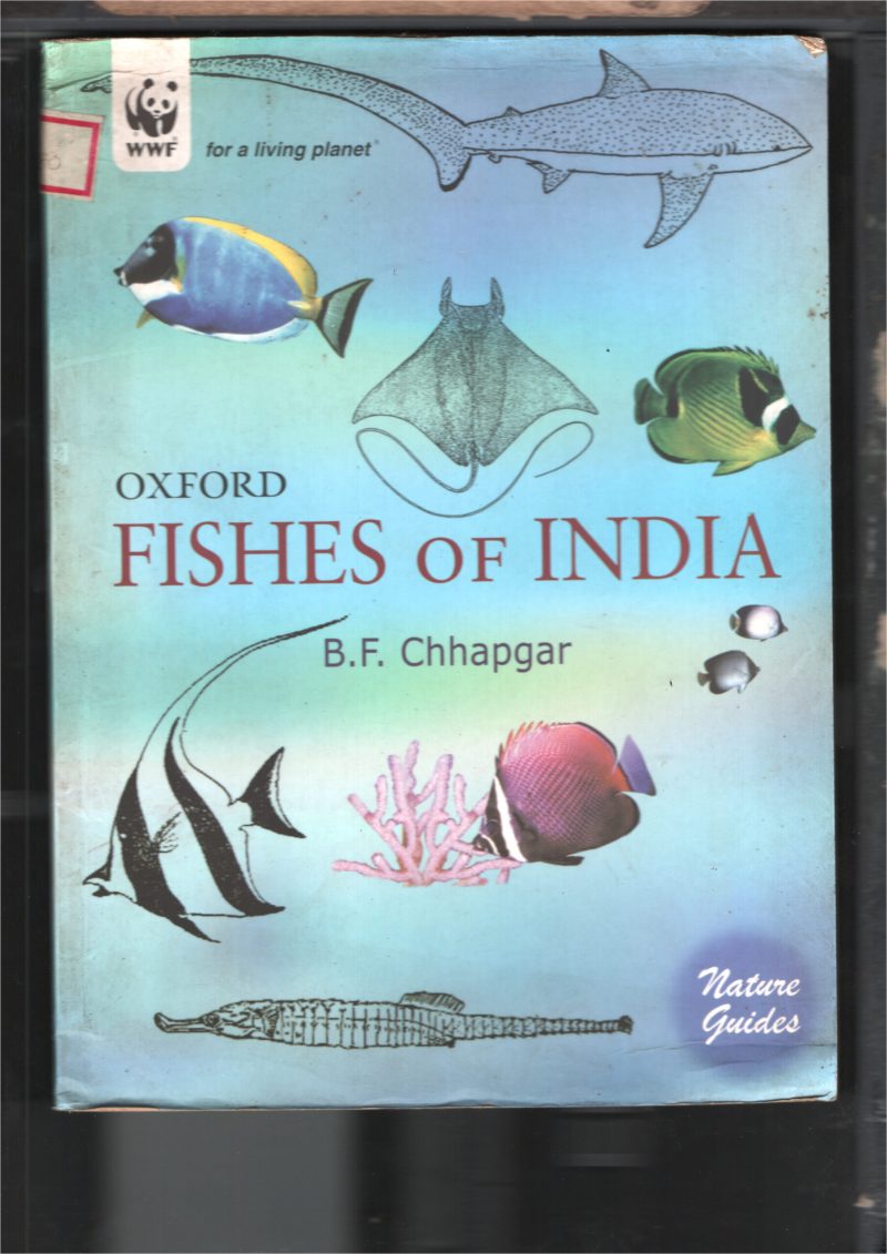 Fishes Of India BY B F Chappagar