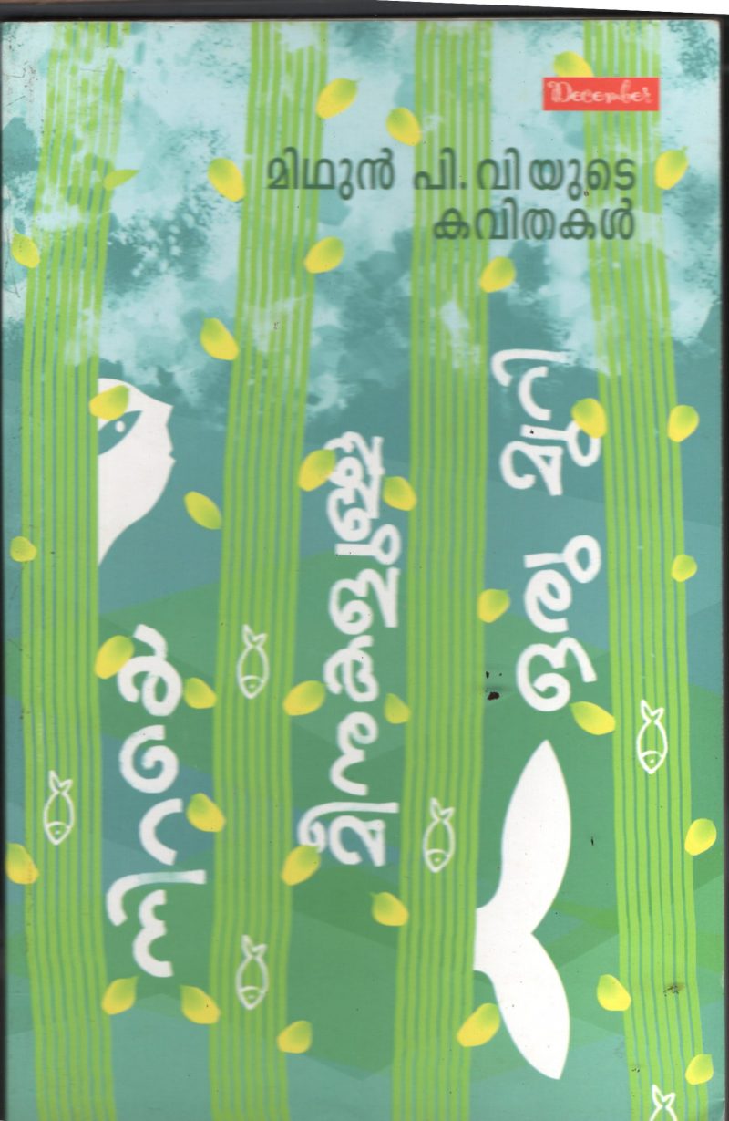 Niraye Meenukalulla Oru Muri BY Midhun P V