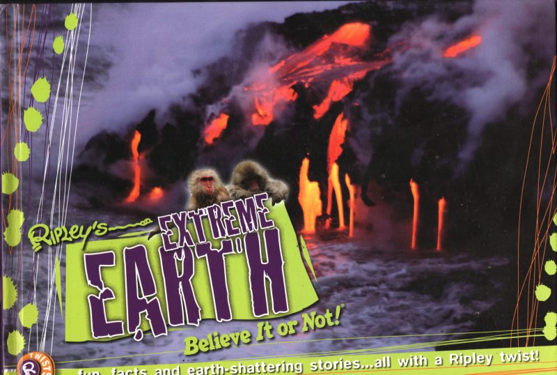 Extreme Earth BY Ripley