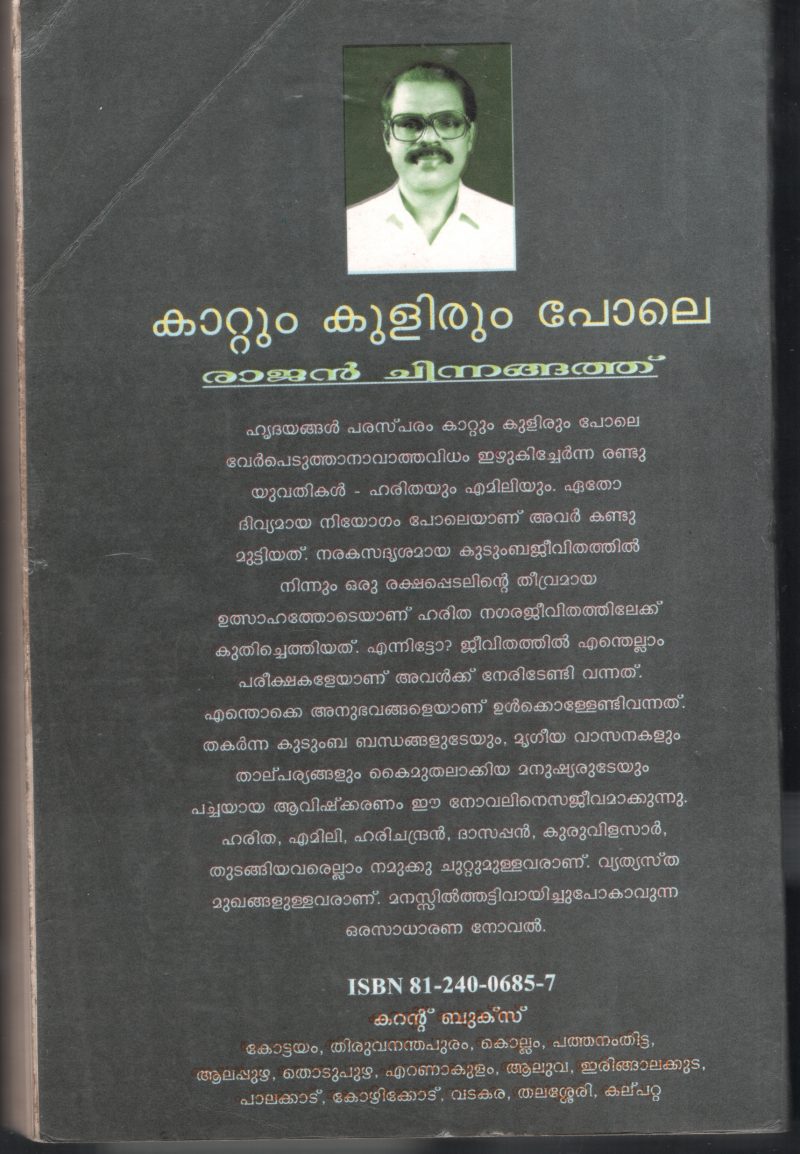 Kattum Kulirum Pole by Rajan Chnnangath - Image 2
