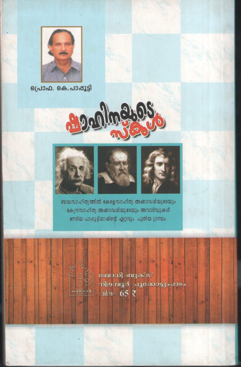 Shahinayute School by PRO. K Papputty - Image 2