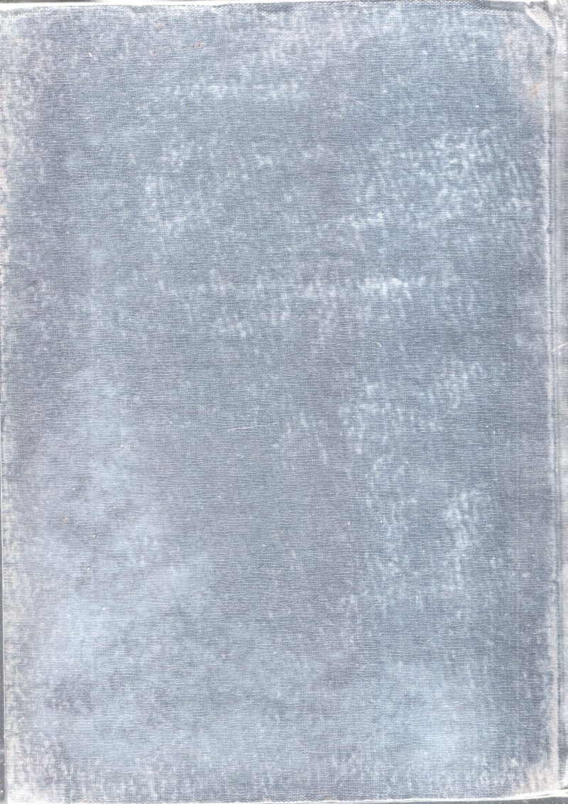 Construction Of Kaloji Narayana Rao To The Telangana BY k.Karunasree - Image 2