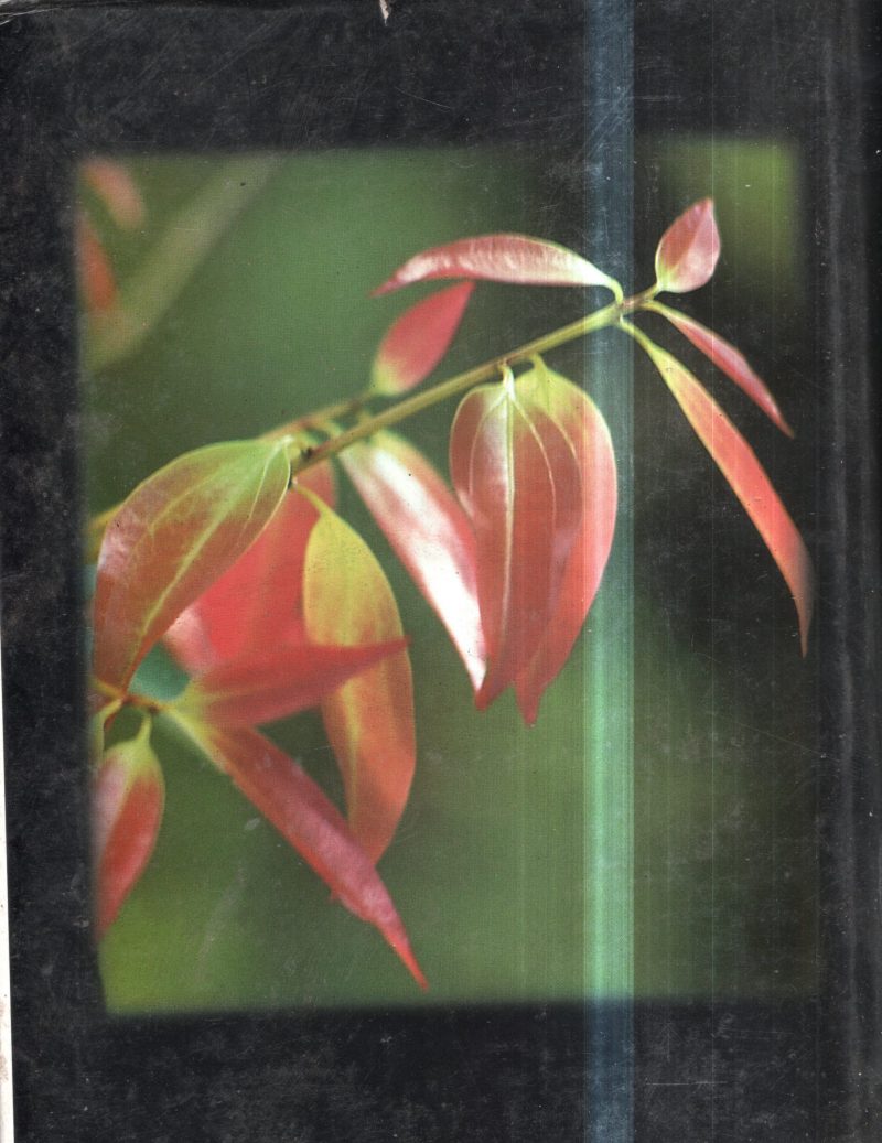 Holistic Life And Medicine BY Group Of Editors - Image 2