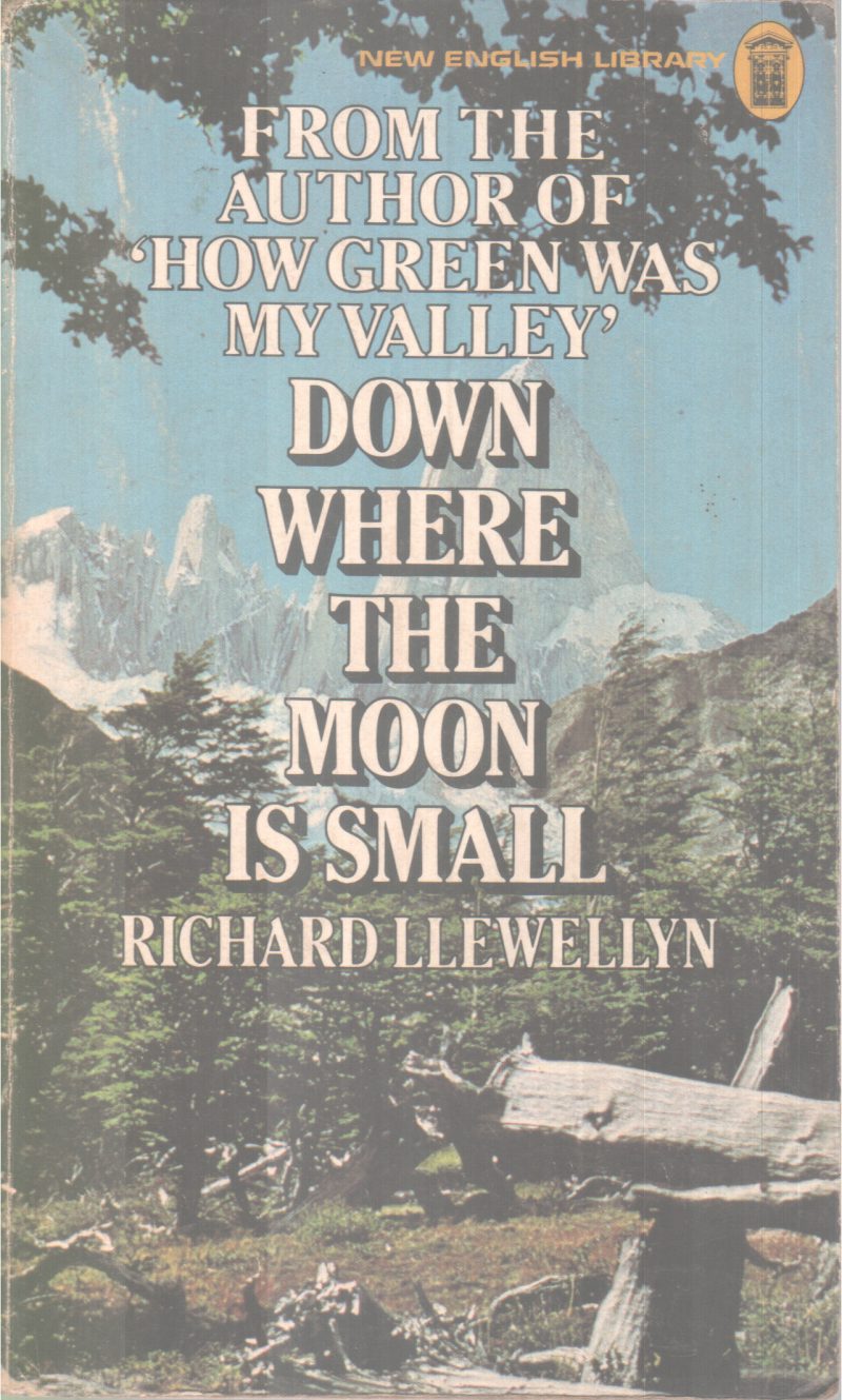 Down Where The Moon Is Small BY Richard llewellyn