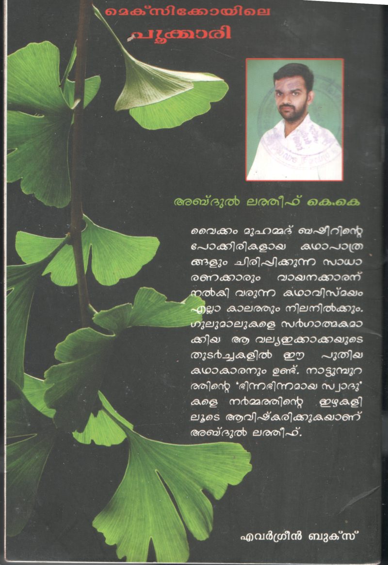 Meksikoyile Pookkari BY Abdul Latheef K.K - Image 2