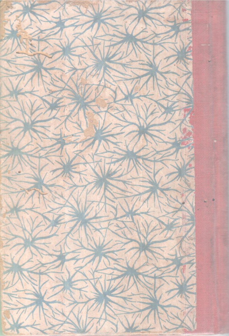 HYDERABADILE NARABOJI BY KENNATHU ANDERSON - Image 2