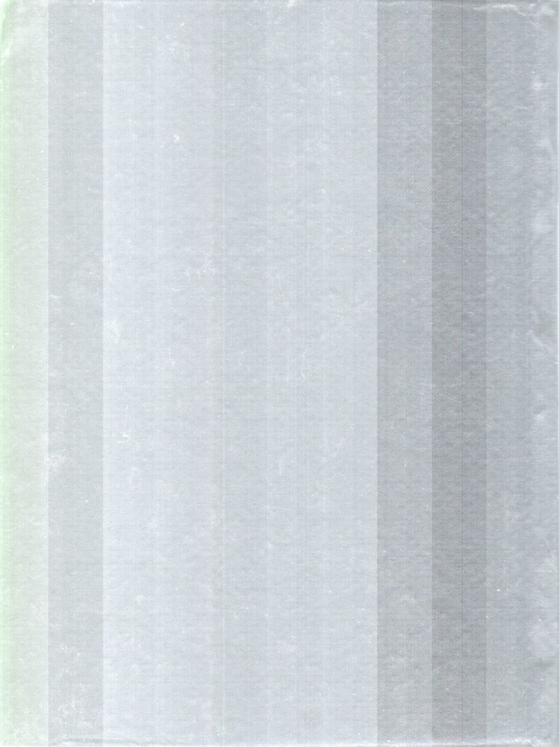 N.B.S MALAYALAM NIGANDU BY C. MADAVAN PILLA - Image 2