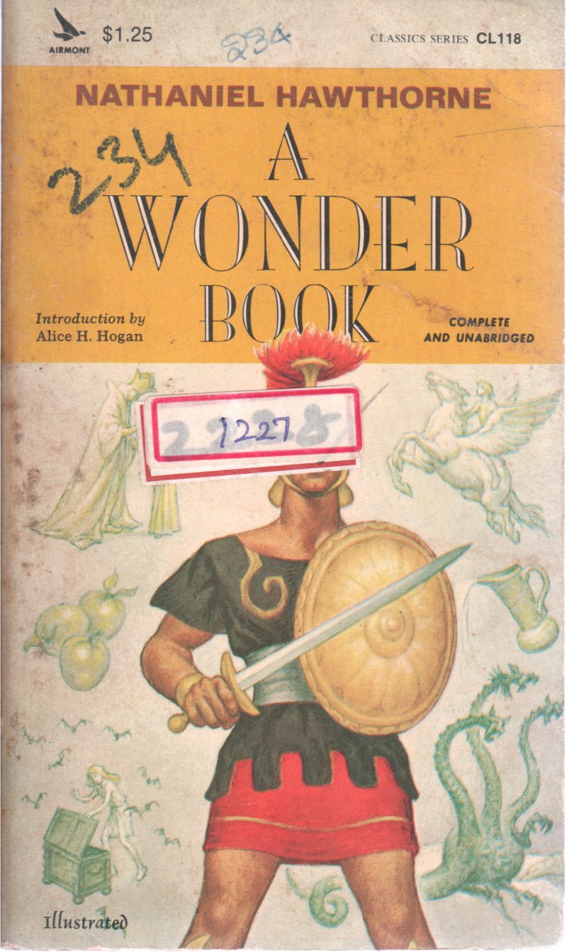 A WONDER BOOK BY ALIC H HOGAN