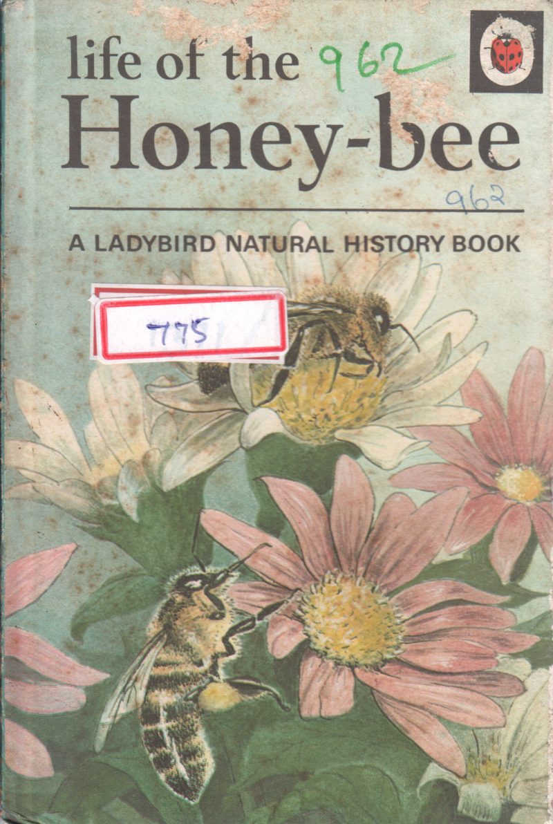 LIFE OF THE HONEY BEE BY SINCLAIR