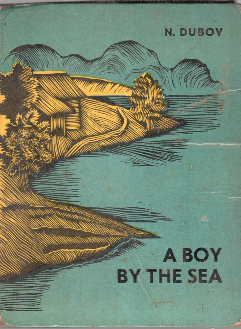 A BOY BY THE SEA BY N.DUBOV