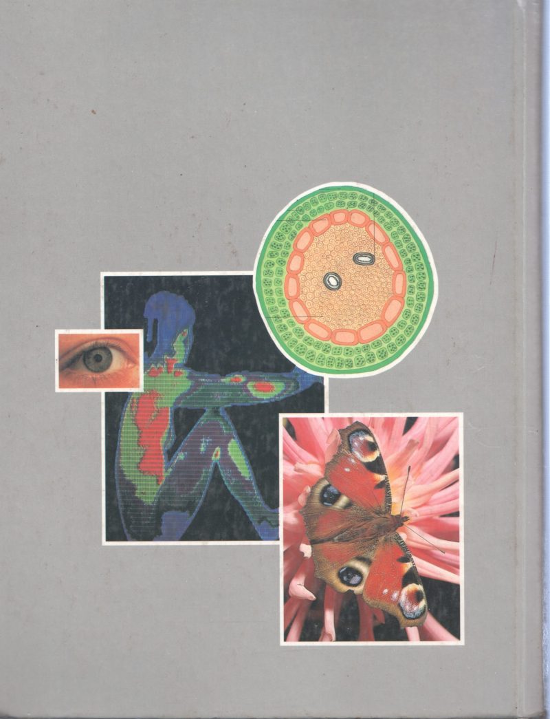 THE WORLD BOOK ENCYCLOPEDIA OF SCIENCE - Image 2