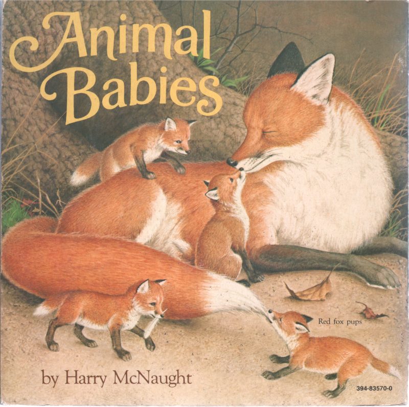 ANIMAL BABIES BY HARRY MCNAUGHT - Image 2