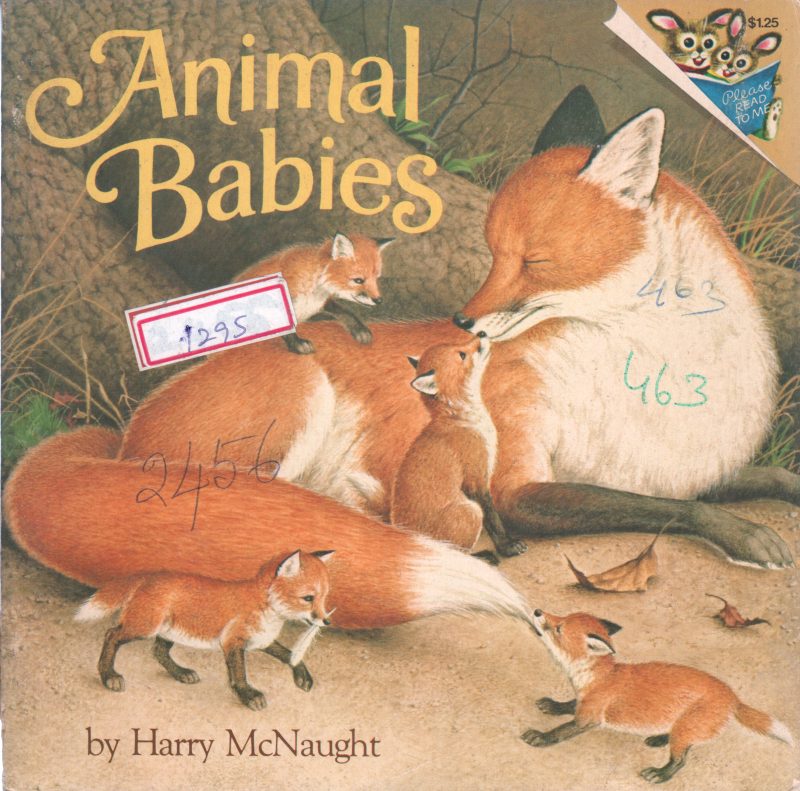 ANIMAL BABIES BY HARRY MCNAUGHT