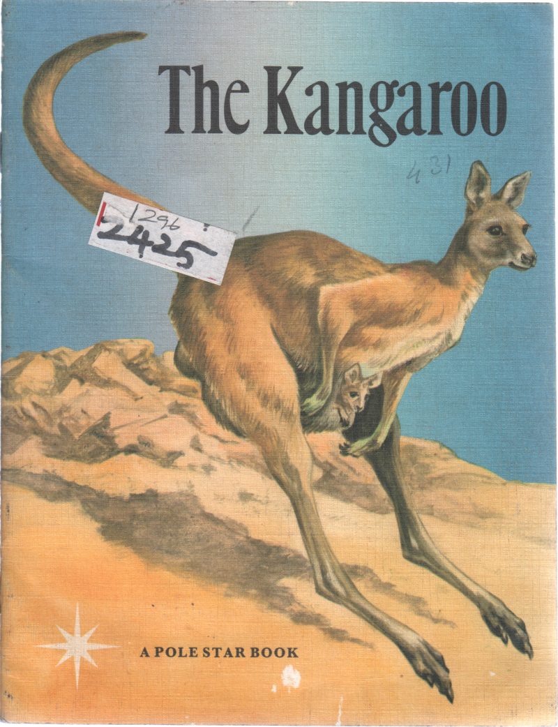 THE KANGAROO BY BARBARA BENSON