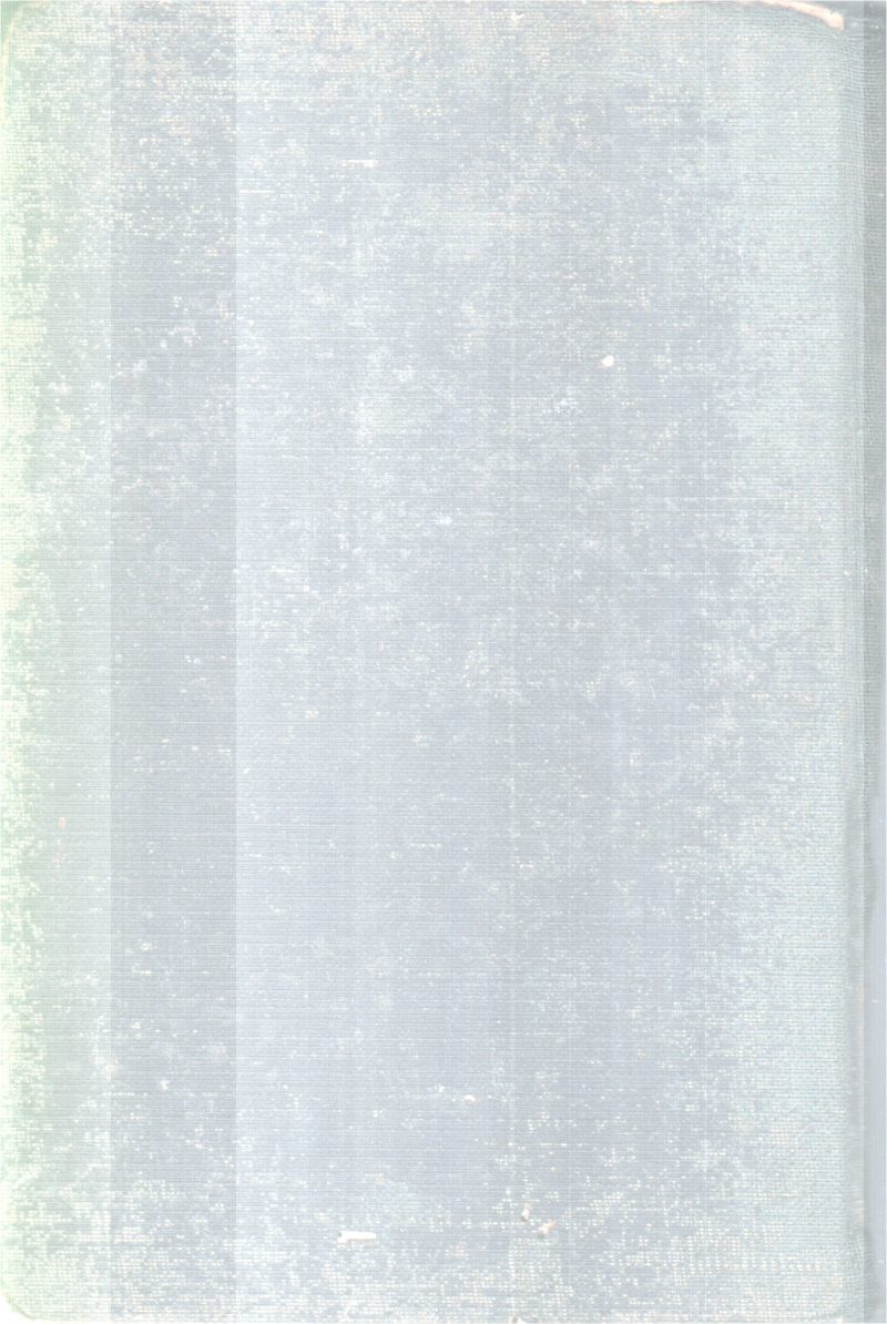 MADAME BOVARY BY GUSTAVE FLAUBERT - Image 2