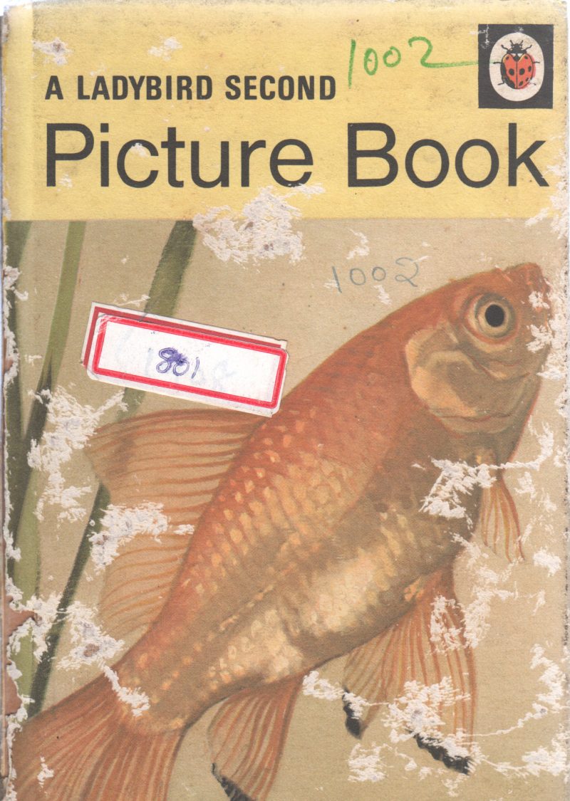 PICTURE BOOK BY ETHEL