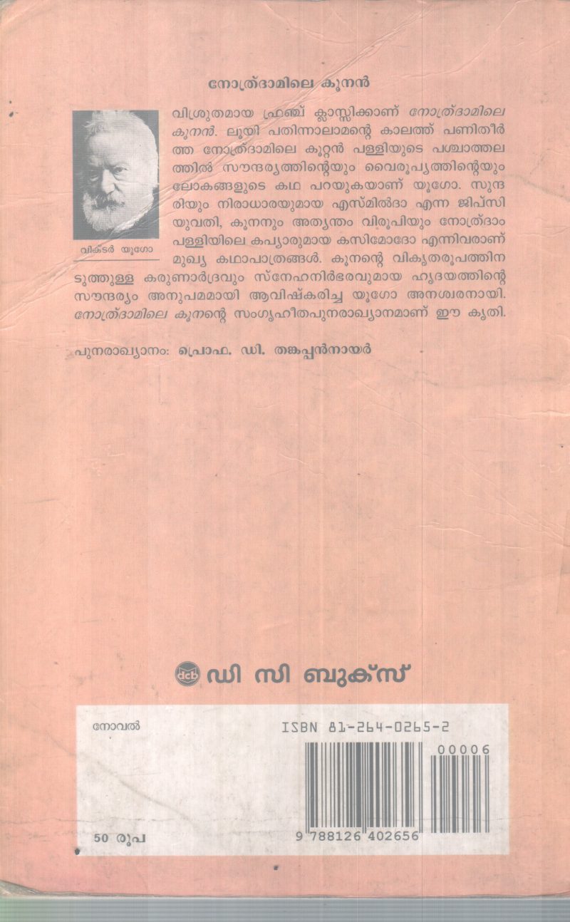 NOTHRADAMILE KOONAN BY VICTOR HUGO - Image 2