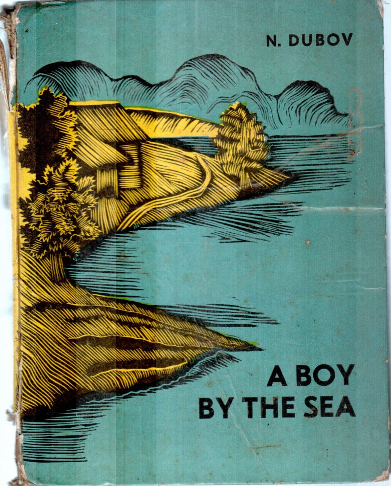 A BOY BY THE SEA BY N.DUBOY