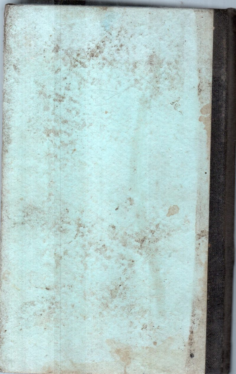 THE EMPLOYEES - Image 2