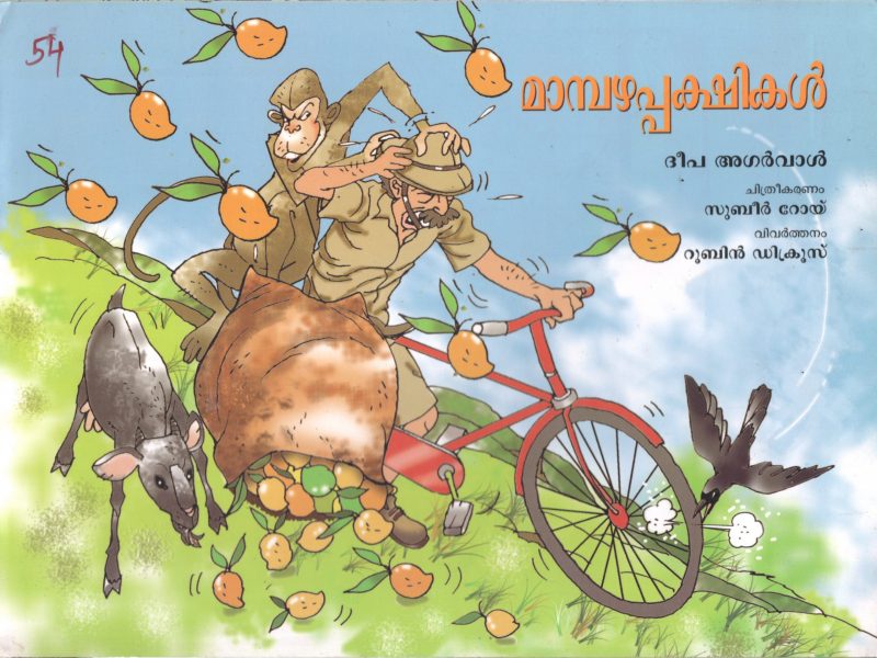 THE MANGO BIRDS