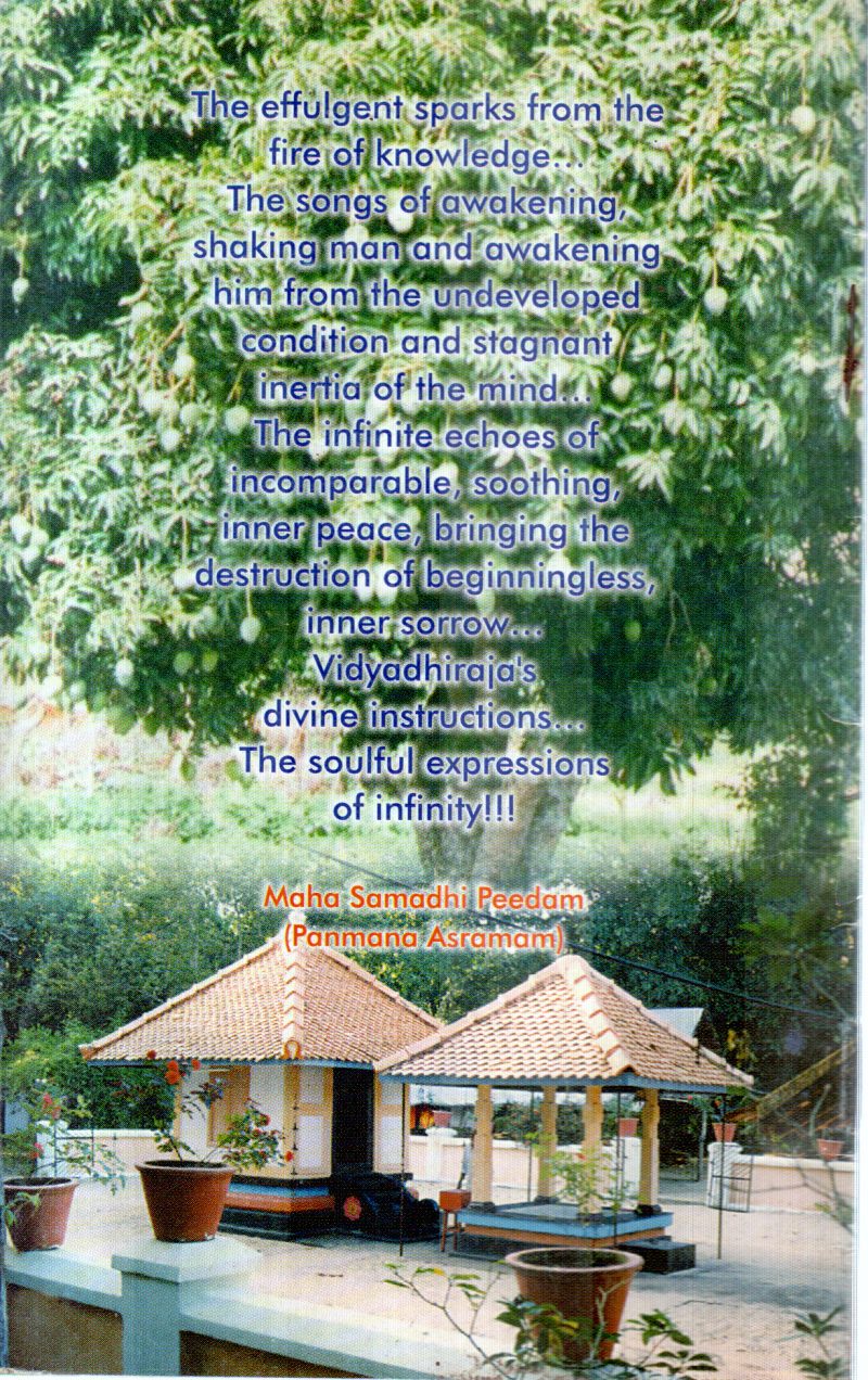 DIVINE TEACHINGS BY PANMANA P.O. - Image 2
