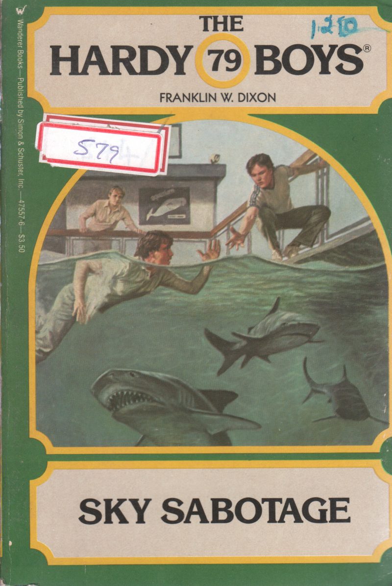 SKY SABOTAGE BY FRANKLIN W.DIXON