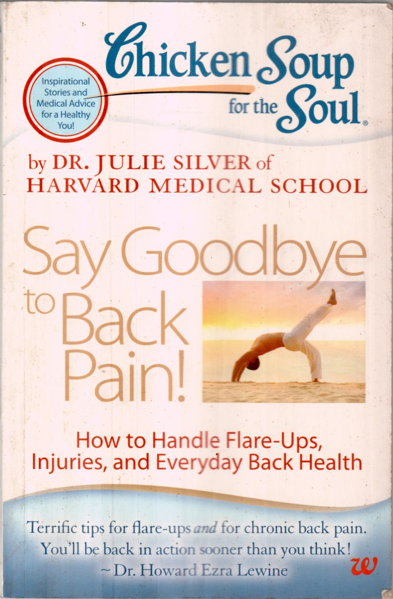 CHICKEN SOUP FOR SOUL BY DR.HOWARD EZRA LEWINE