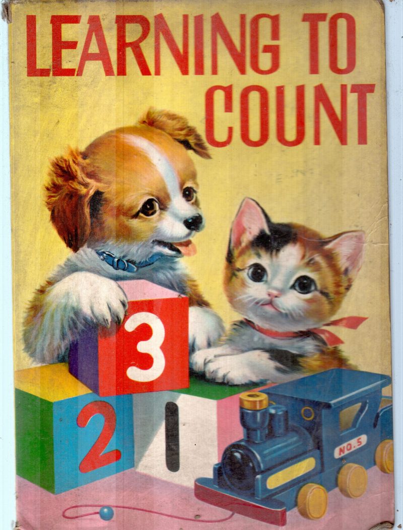 LEARNING TO COUNT