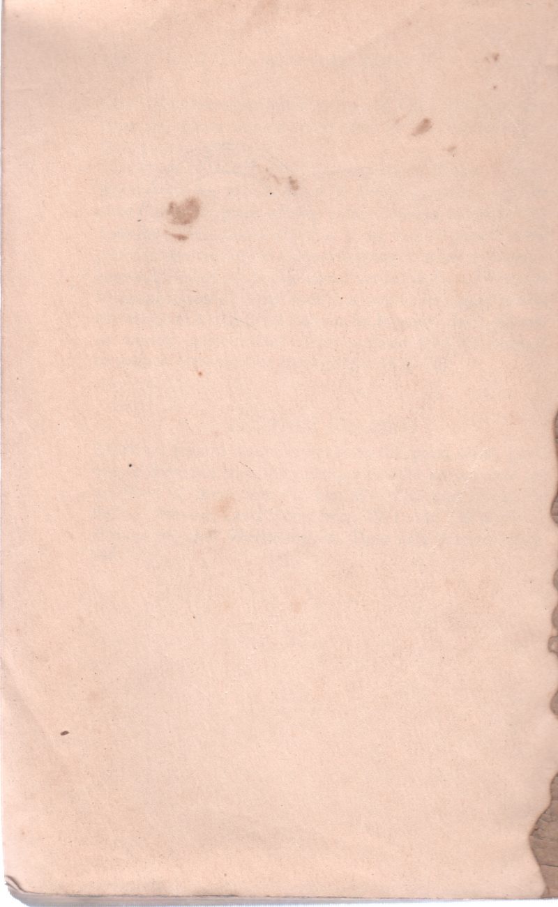 BRIEF BIOGRAPHERS - Image 2