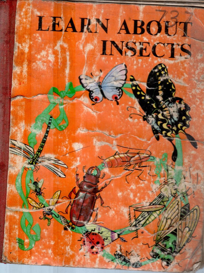 LEARN ABOUT INSECTS