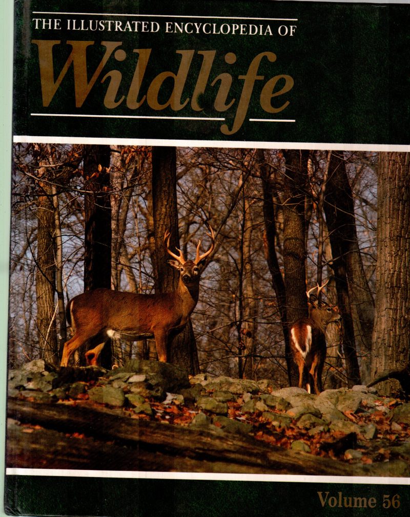 THE ILLUSTRATED ENCYCLOPEDIA OF WILDLIFE