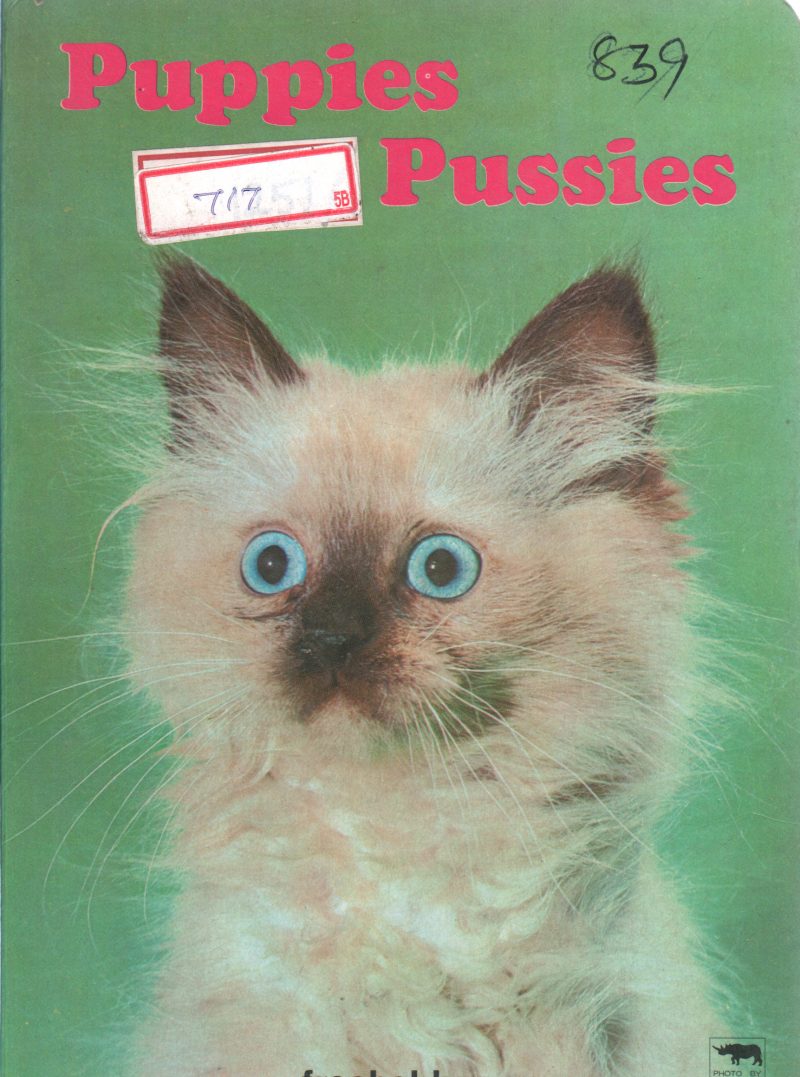 PUPPIES PUSSIES BY FROEBEL KAN