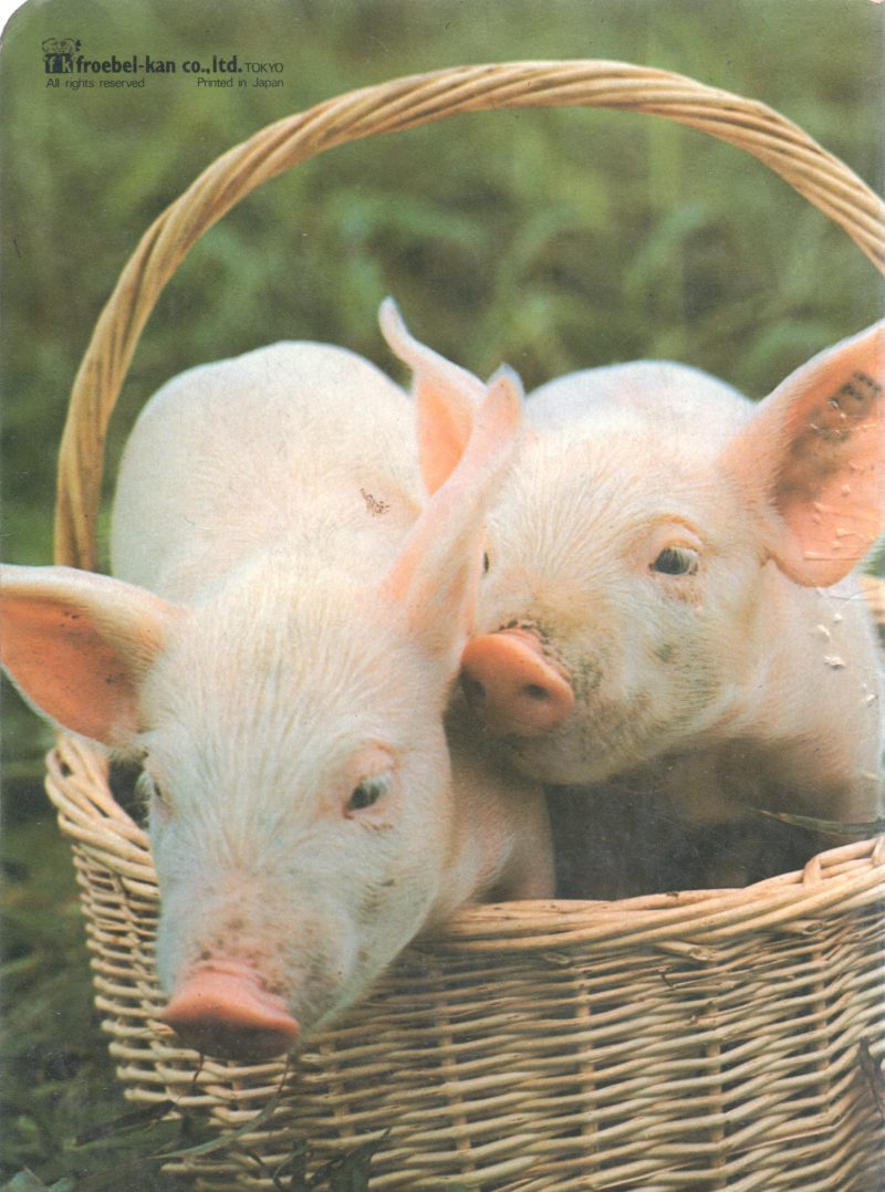 ANIMALS ON THE FARM BY FROEBEL KAN - Image 2