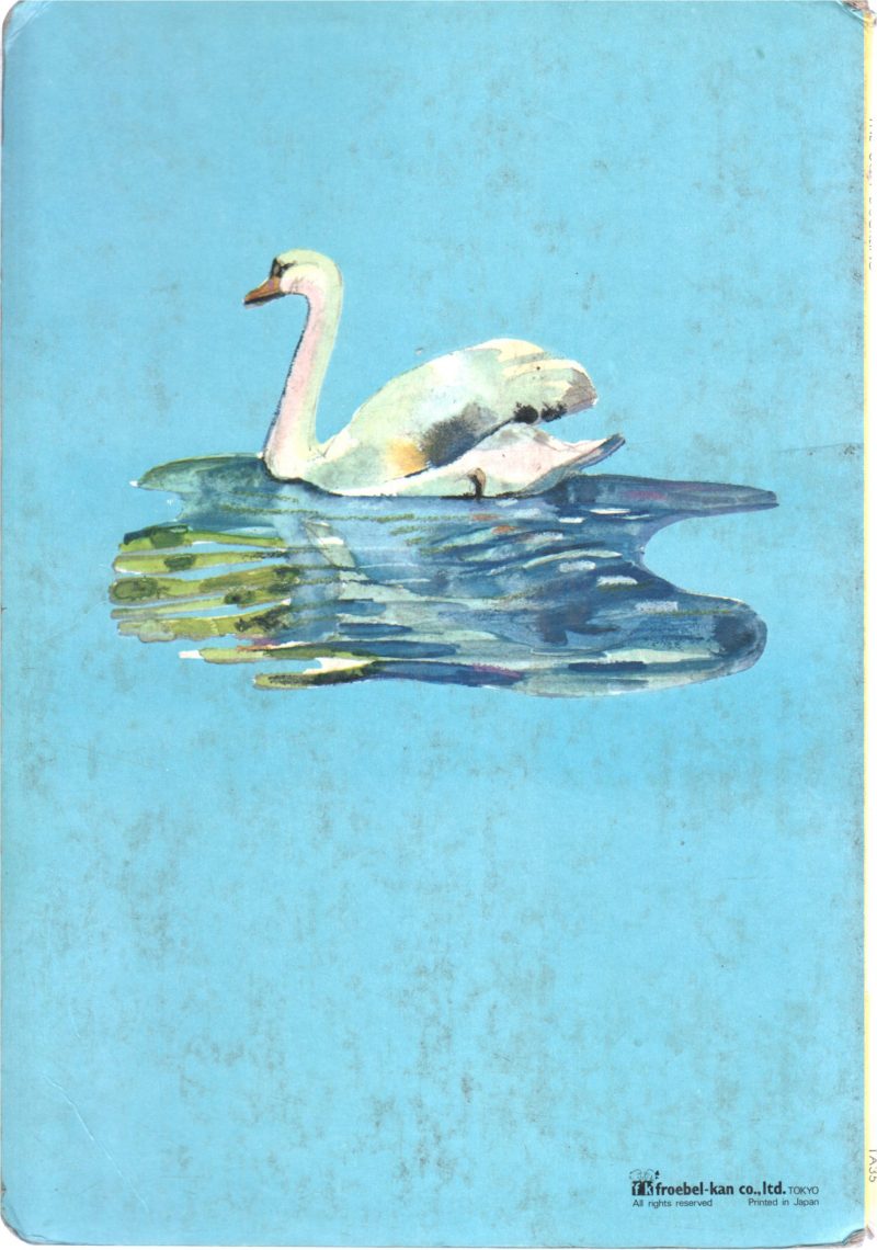 THE STORY OF UGLY DUCKS - Image 2