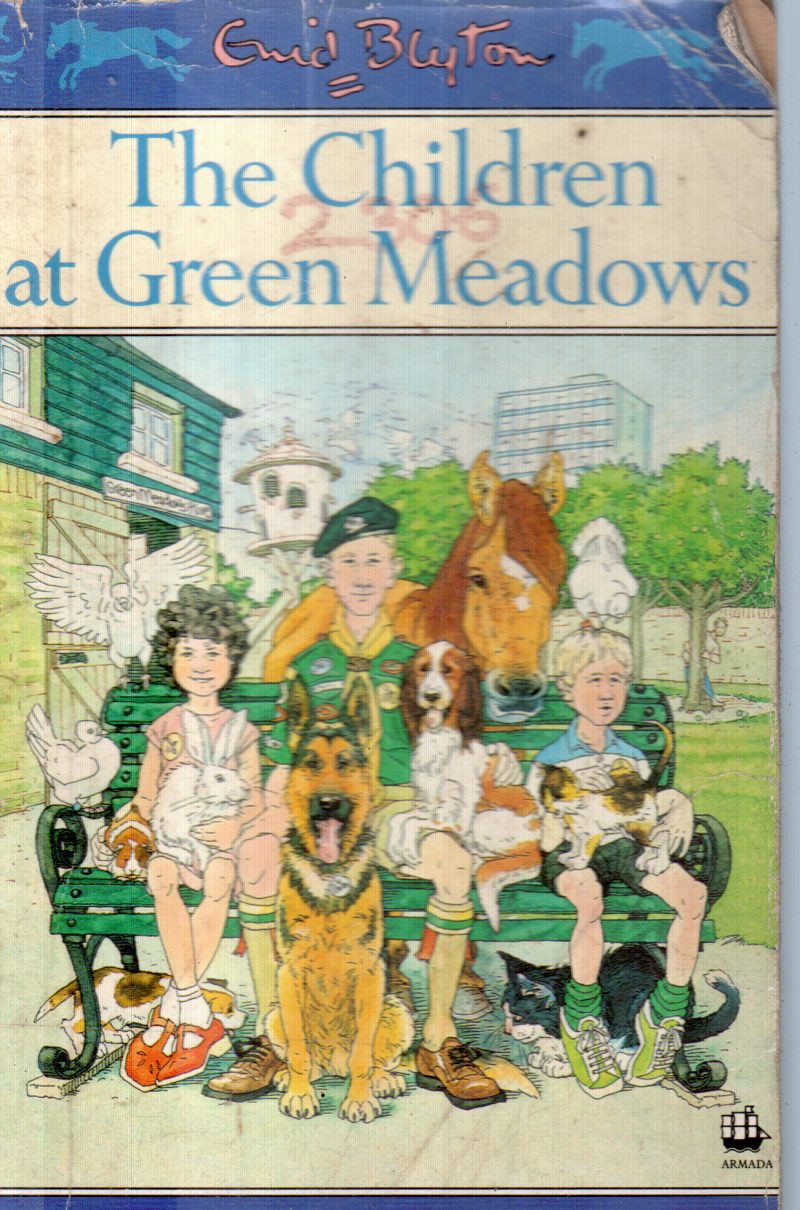 THE CHILDREN AT GREEN MEADOWS BY GUD BLYTON