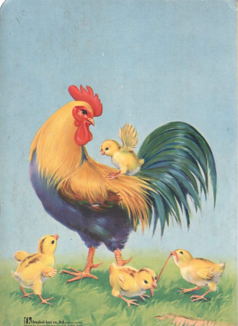 ANIMAL FAMILIES - Image 2