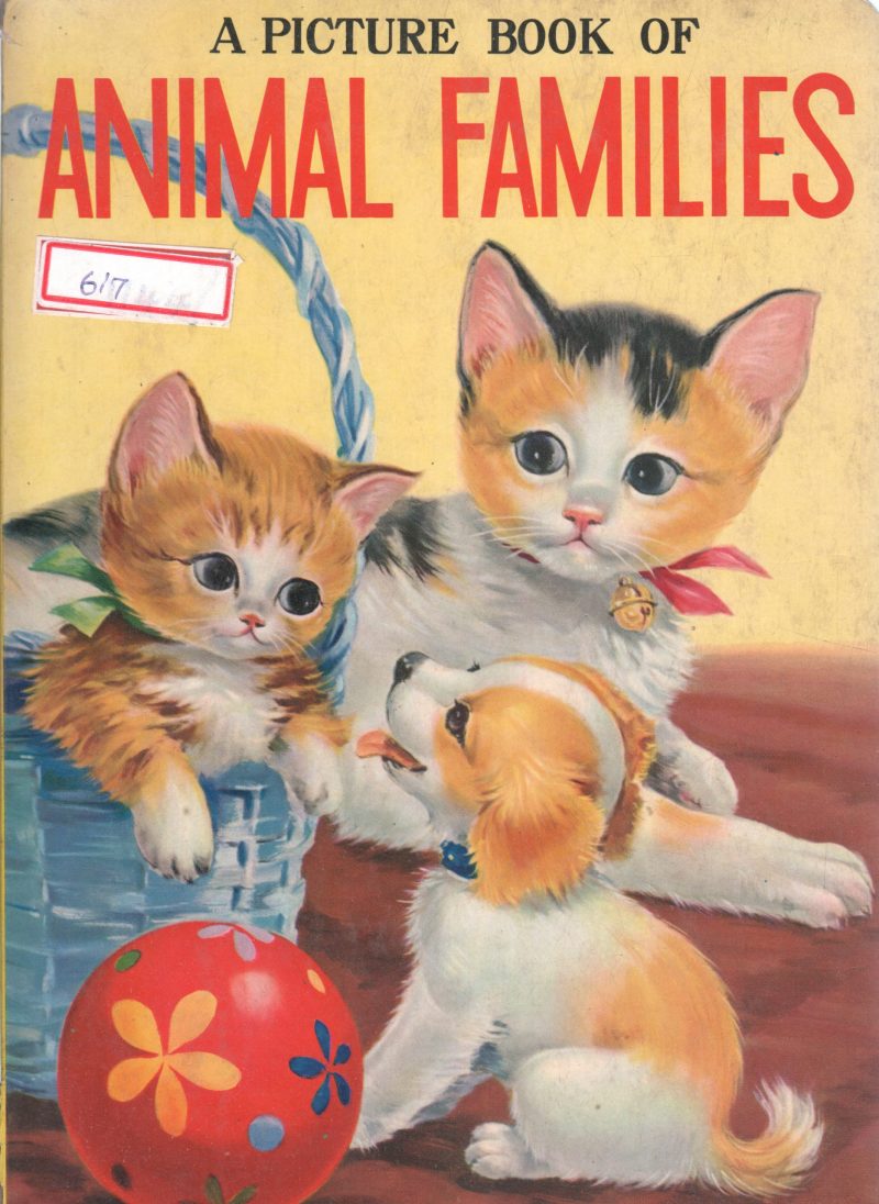 ANIMAL FAMILIES