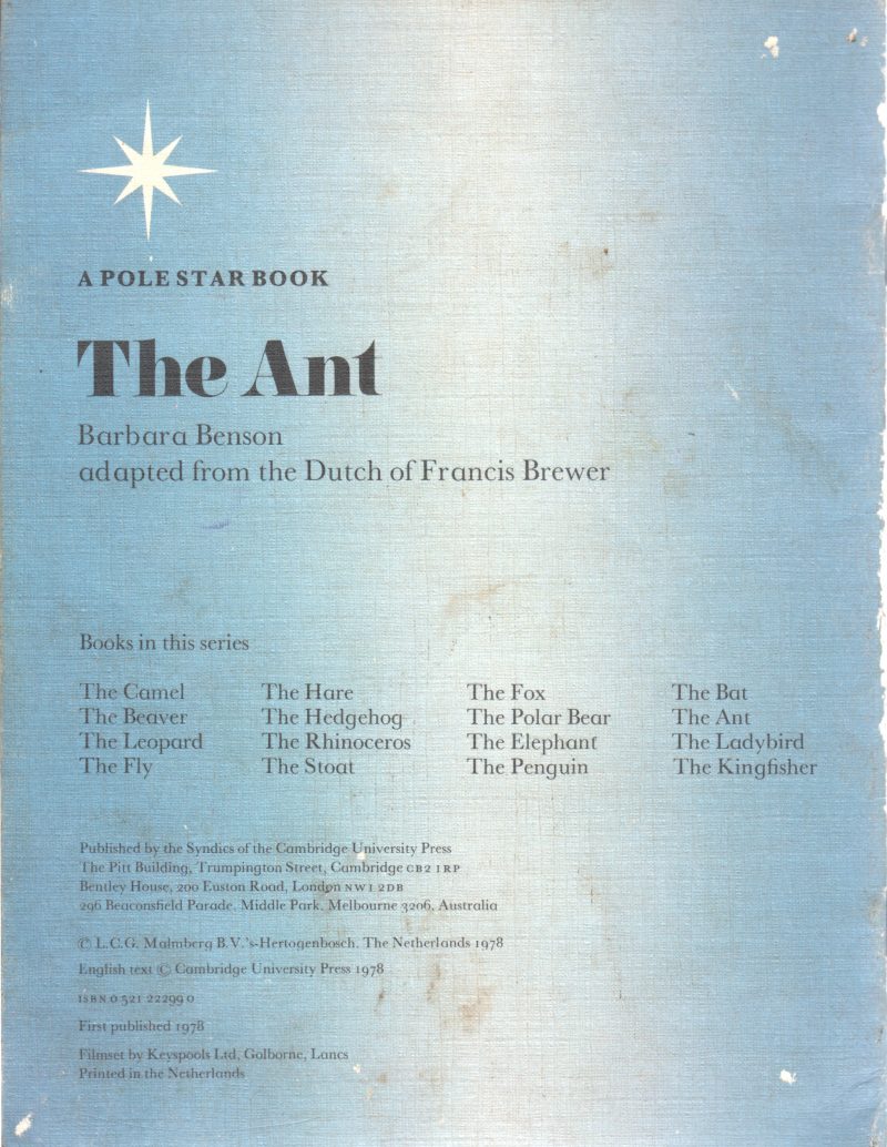 THE ANT - Image 2