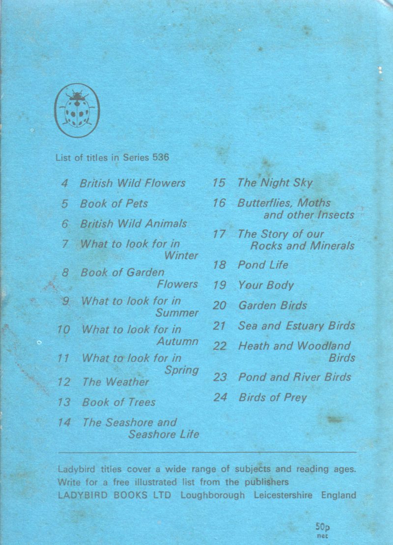WHAT TO LOOK FOR IN SUMMER BY E.L. GRANT WATSON - Image 2