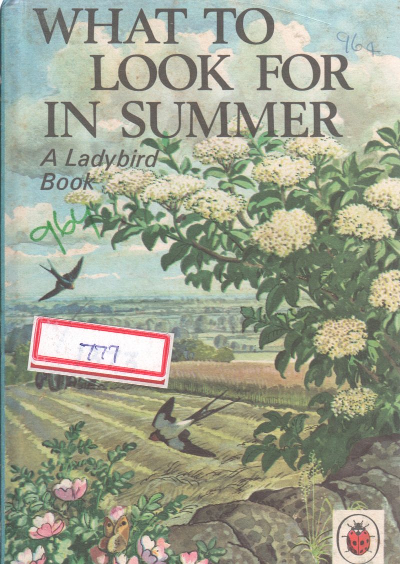 WHAT TO LOOK FOR IN SUMMER BY E.L. GRANT WATSON