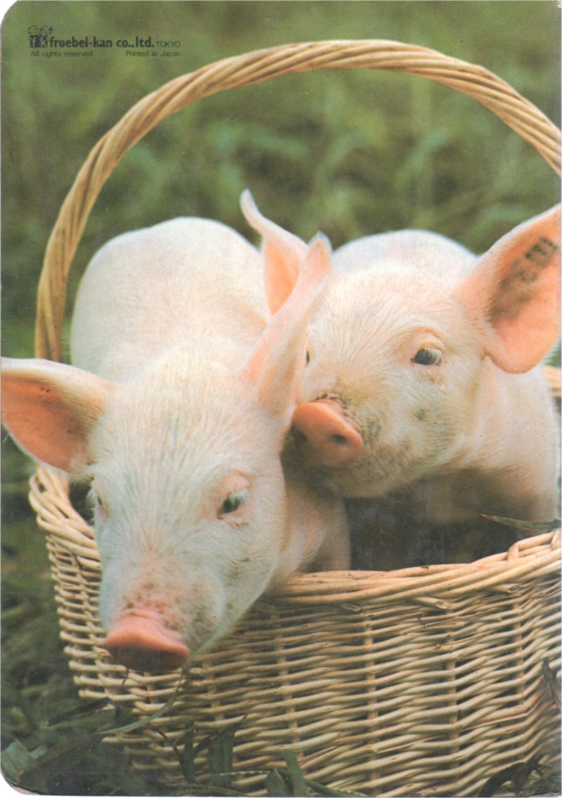 ANIMALS ON THE FARM BY IROBEL KAN - Image 2
