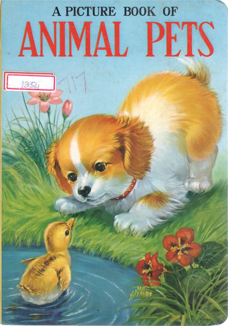 ANIMALS PET