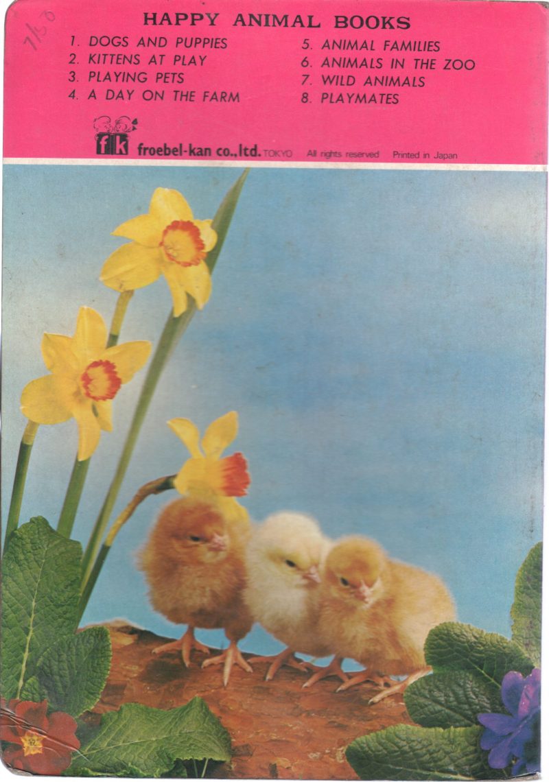 PLAYING PETS - Image 2