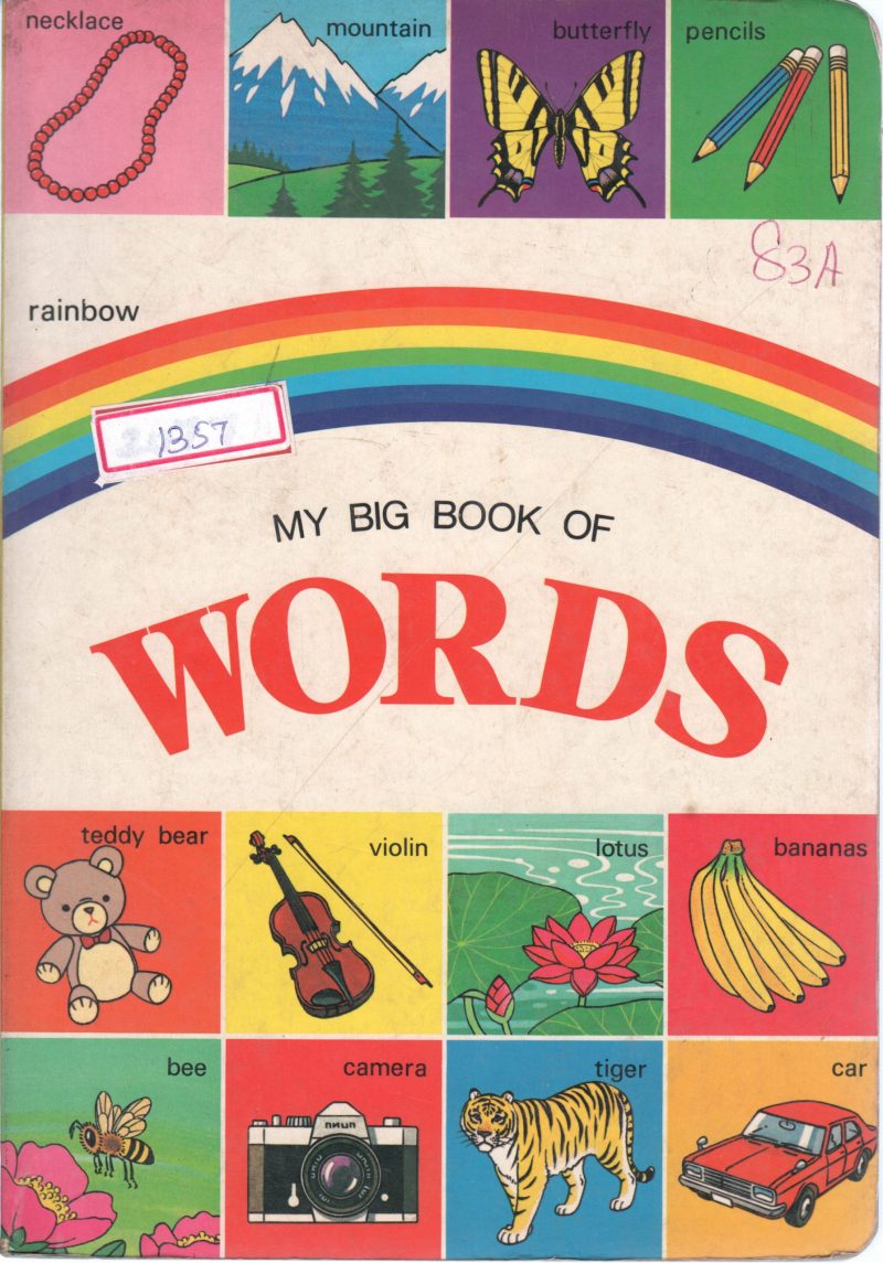 MY BIG BOOK OF WORDS