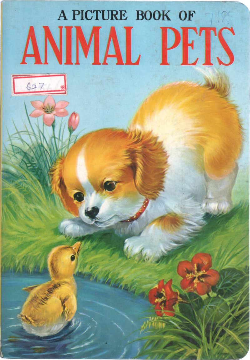 ANIMAL PETS