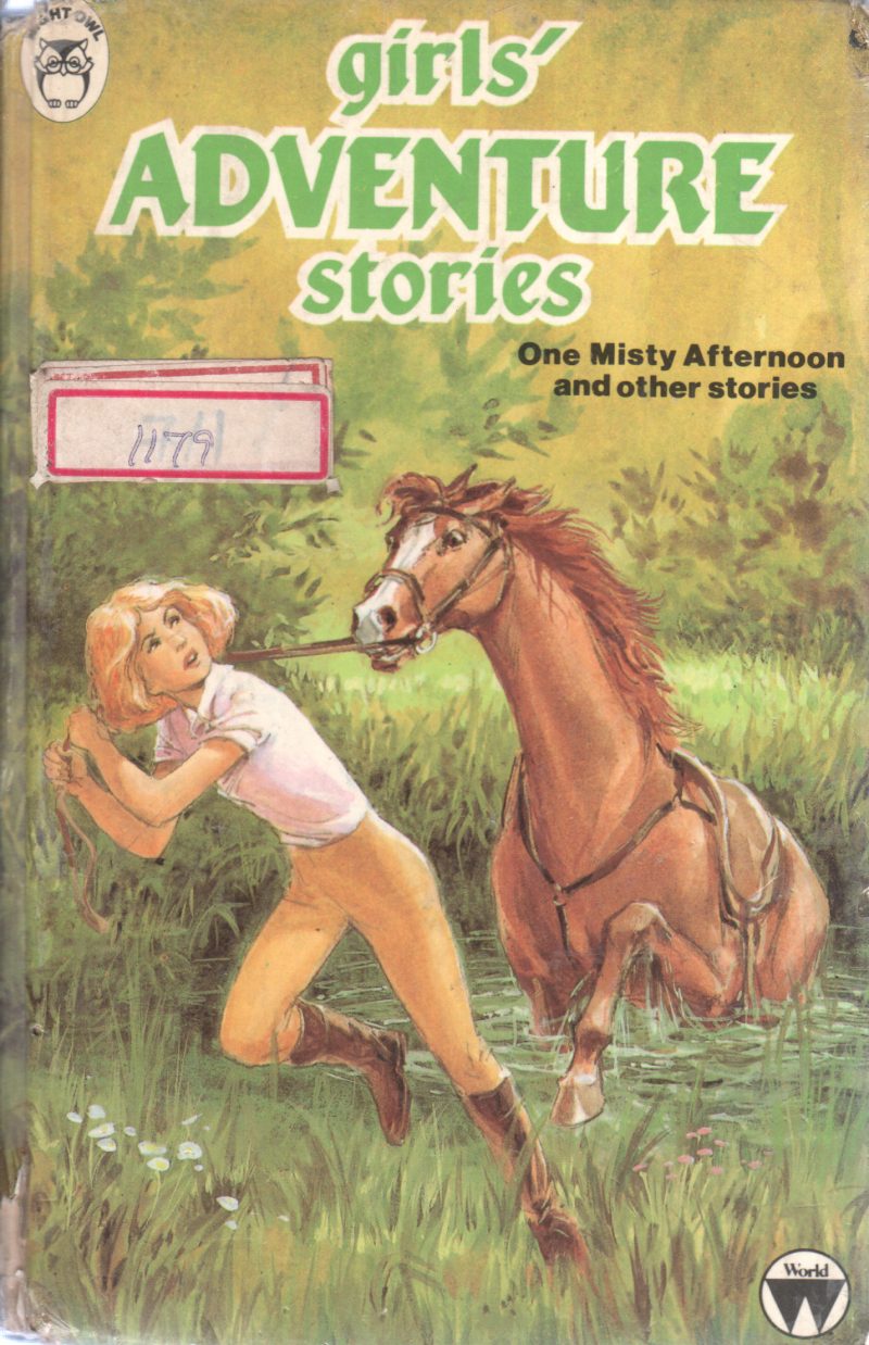 GIRLS ADVEMTURES STORIES